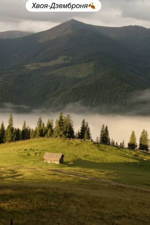 Зелена долина
